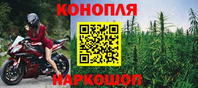 СК Гудермес
